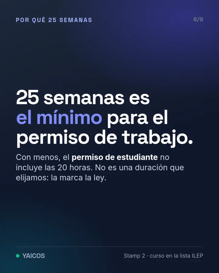 25 semanas es el mínimo para el permiso de trabajo: con menos, el permiso de estudiante no incluye las 20 horas